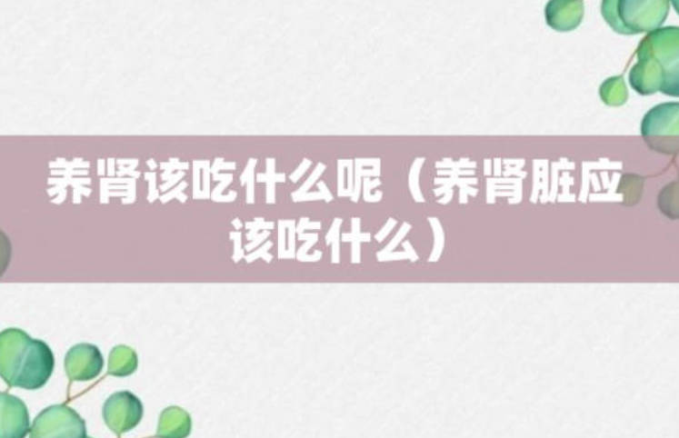 补肾吃什么 介绍补肾快的三个方法