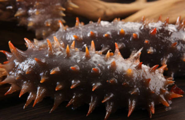 补肾之王第一名 4种食物补肾益肾