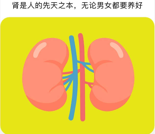 日常补肾方法 教你几招补肾方法