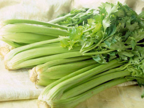 气血不足如何调理 建议多吃四类食物调理