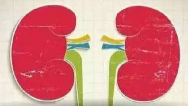 男性补肾的最佳方法和秘诀