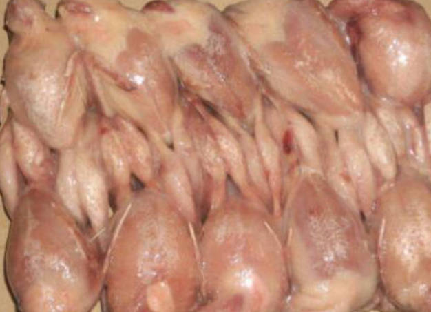 四种补肾补精的食物推荐