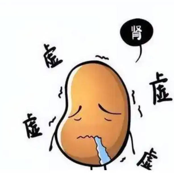 揭秘肾虚的肾虚的几大症状 男性肾虚可多吃6种补肾食物