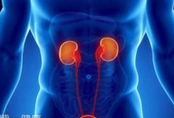 怎么补肾最好 揭秘安全有效的补肾方法