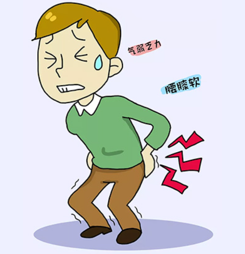 肾虚怎么才能补回来?