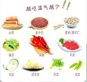 湿气热气一锅端 十五种家常食物来帮忙