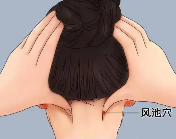 脱发怎么养、调理回来?