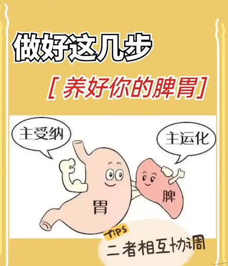 日常调理脾胃的方法