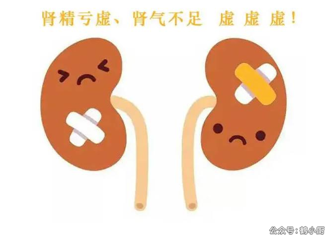 详细阅读:九蒸九晒黑芝麻丸的功效与作用揭秘:千年古方如何拯救我的肾精亏虚 九蒸九晒黑芝麻丸的功效与作用揭秘:千年古方如何拯救我的肾精亏虚