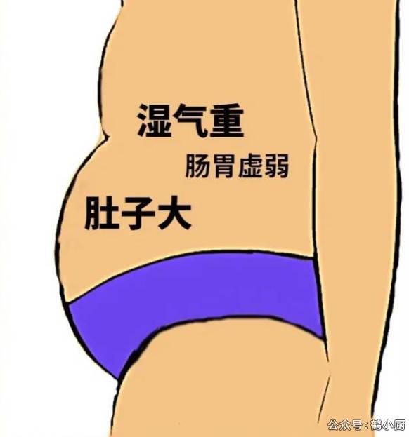 湿气重肚子大怎么排湿减肥?中医师亲授:1个古方,健脾祛湿瘦腰腹!